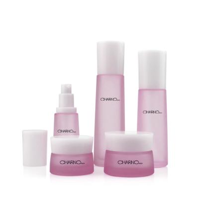 China Empty 30g 50g 30ml 120ml Cosmetic Serum Maker Glass Bottle Liquid Cosmetics Containers And Packaging Set for sale