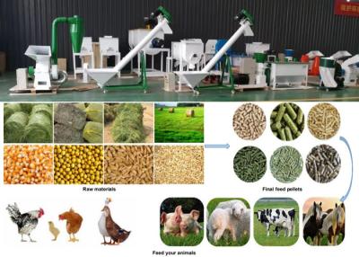 China Small Feed Factory Animal Feed Production Line 2mm - 12mm Pellet Size for sale