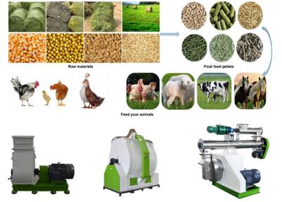 China De Productielijn Dierenvoer van het kippen Dierenvoer Productiemachines Te koop