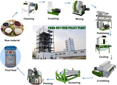 China Livestock Animal Feed Production Line Pet Food Production Line Siemen Motor for sale