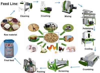 Chine Chaîne de production approuvée d'alimentation des animaux d'OIN granule de nourriture pour poissons faisant la machine à vendre