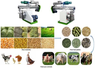 China Professional Animal Feed Pellet Production Line Smooth Structure For Soybean for sale