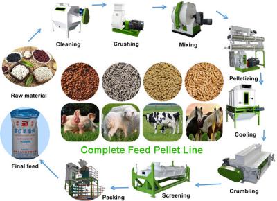 Chine Chaîne de production automatique d'alimentation de volaille de machine de traitement des denrées alimentaires des produits alimentaires de volaille de catégorie à vendre