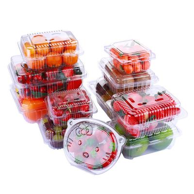 China Clear Fruit and Vegetable Packet 12 Compartment PET Kiwi Peach Clamshell Box Recyclable/Disposable Plastic Blister Box for sale