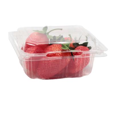 China High Quality Recyclable/Disposable Food Grade Plastic Containers Clam Shell Tray Fruit Food Packaging for sale