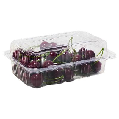 China Wholesale Disposable Recyclable/Disposable Box Clear Blister Blueberry Fruit Fresh Box for sale