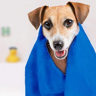 China Amazon Sale Pet Bath Towels Quick-Drying Microfiber Microfiber QUICK-DRY Warm Multi-Color Soft Choice Skin-Friendly Free Plain Plain for sale