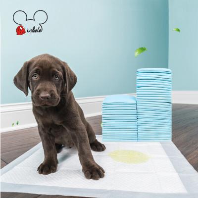 China Viable Keep Clean House Pet Under Protective Pet Urine Pad With Healthy Good for sale