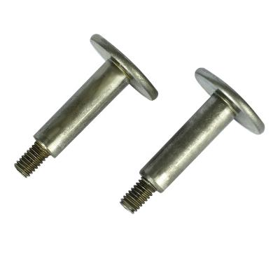 China 2021 New Product High Quality Popular Short Hair In Stock Flat Head Stepped Screw Tool For Sale for sale