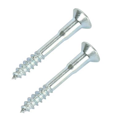 China Sink Product Reasonable Price Head Recommended Durable Self Tapping Countersunk Head Screw for sale