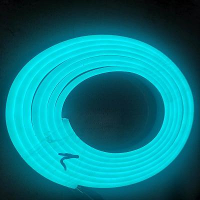 China luz de tira flexible de neón de neón azul del lago LED Flex Strip Silica Gel Waterproof de 5x12m m en venta