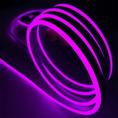 Cina 3 Years Warranty Flexible Silicone Neon Strip Light 12V Input, 10mm Cutting Unit in vendita