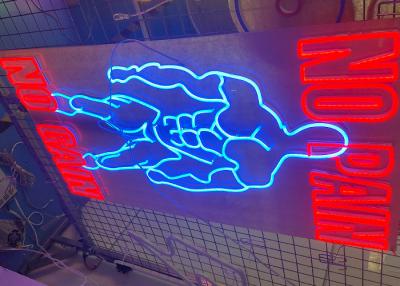 China 12VDC Artcraft Acrylic Sports Led Neon Sign No Pain No Gain for sale