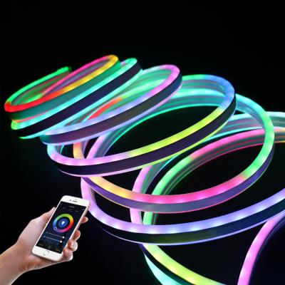 China El multicolor 12v del Rgb 10m llevó el neón Flex Strip Light los 60leds/M en venta