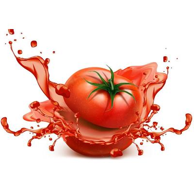 Chine Tomato sauce processing machine automatic industrial Chili onion tomato sauce processing plant à vendre