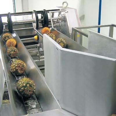 Cina Ananas che elabora la linea di trasformazione dell'ananas dei produttori di macchinari del succo di ananas del macchinario in vendita