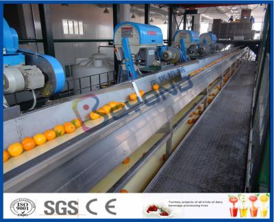 China Full Automatic Engery saving Orange Processing Line for Turn Key Project for sale