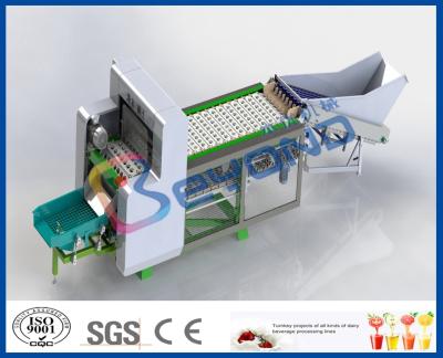 중국 주스 생산 공장을 위한 과일 Destoner 과일 공정 장치 판매용