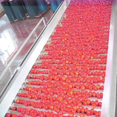 China Automatic Concentrated Tomato Paste Production Line SUS304 380V 50Hz en venta