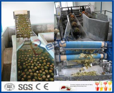 Cina Ananas che elabora il macchinario della fabbrica del succo con l'impacchettatrice del succo di frutta in vendita