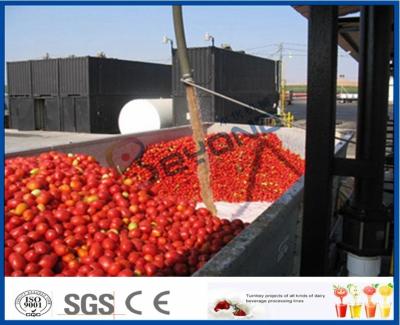 China Tomatensauce, die Maschinen-Tomatenkonzentrat-Fertigungsstraße mit heißem/kaltem Bruch-System macht zu verkaufen