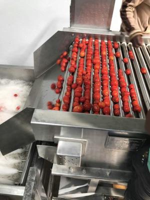 China Gewicht des niedrige Energie-Tomaten-Werkzeugmaschine-Zwangsumlaufverdampfer-200KG zu verkaufen