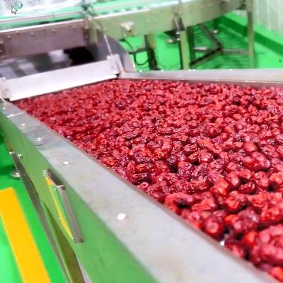 Cina Linea di trasformazione cinese del succo di frutta della data, impianto di lavorazione della polpa della frutta ISO9001 in vendita