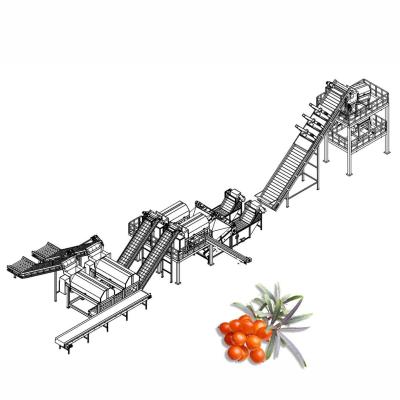 Cina Olivello spinoso 20TPD che trasforma frutta Juice Production Line in vendita