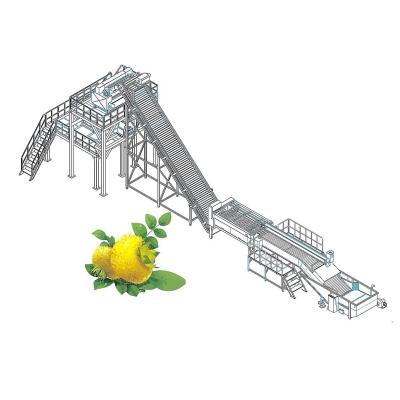 중국 72Brix는 열매 남새를 위한 따끔따끔한 과일 가공 라인을 집중합니다 판매용