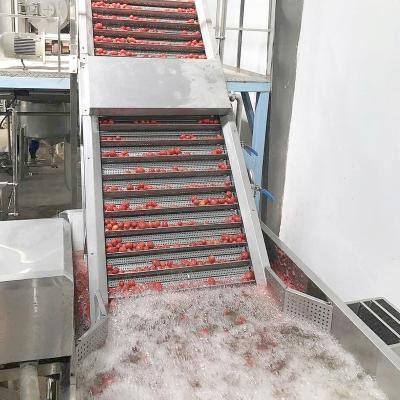 China Cadena de producción automática de la pasta de tomate del equipo de proceso de la pasta de tomate pavo en venta