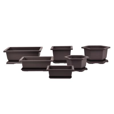 China Factory Price Rectangle Hexagon Mocha Flower Durable Plastic Succulent Bonsai Pots Factory Price Training Planters for sale