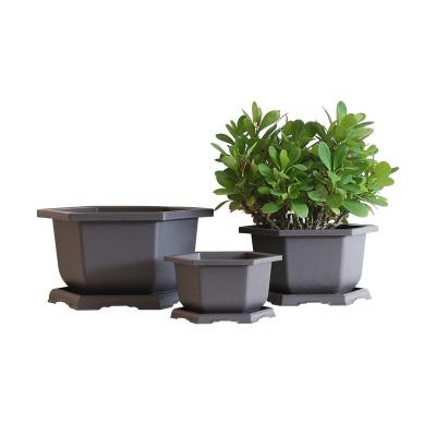 China PP Material Durable Hexagon Shape Bonsai Tree Plastic Stackable Pot For Succulent Plant for sale