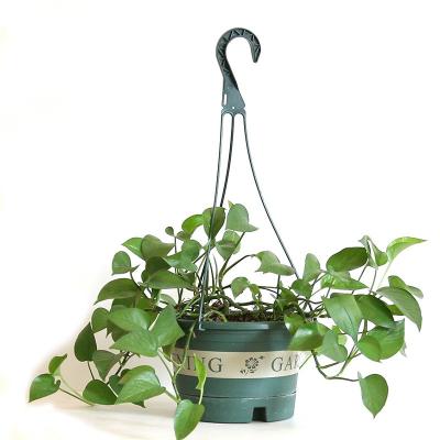 China Modern Decorative Garden PP Plastic Hanging Pots For Plants With Tray for sale