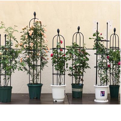 China Heavy Duty Plastic PE Coated Stainless Steel Tube Garden Decor Plant Supports Heavy Duty Tomato Cages for sale