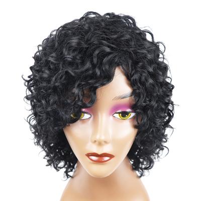 China Kinky Curly Wig 100% Virgin Brazilian Hair Raw Curly Wig Pre Plucked Machine Made Wig For Black Women for sale