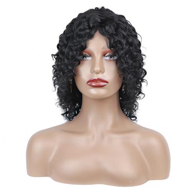 China Machine Made Jerry Curl Wig Jerry Curl Human Hair Wigs 120% Virgin Density For Indian Colored Women Hair Vendors for sale