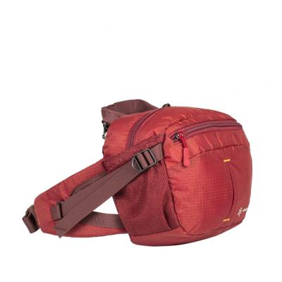 China Water Proof Custom Unisex Multifunctional Outdoor Camping Hiking Traveling Sports Cycling Waterproof Waist Bag for sale