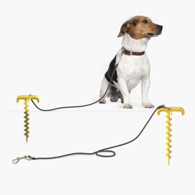 China Stored Portable Outdoor Interactive Dog Chew Toys With Pull Rope Dog Tooth Cleaning Molar Ball Chew Toys for sale