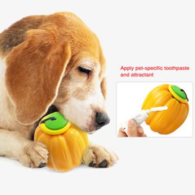 China Stored Interactive Pumpkin Shape Dog Ball Pet Balls Dog Toys Interactive Throw Ball Toy for sale