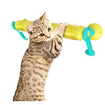 China Factory Stored Plastic Cat Track Ball Rotating Hunting Interactive Ball Cat Toy Educational Toys For Cats for sale