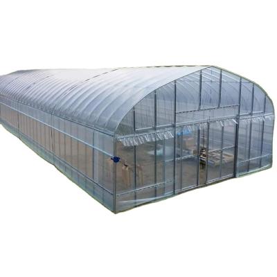 China 2.5-5M Hoogte Tomaten Hydroponische hoge tunnel Landbouw Kas met film Te koop