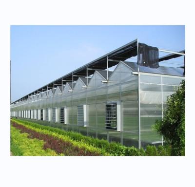 China Stabiles und großes Gewächshaus Landwirtschaft Polycarbonat mit galvanisiertem Stahlrahmen zu verkaufen