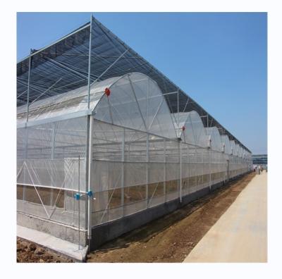 Cina Materiale di copertura per pellicola Agricoltura Serra multi-span con tubo di acciaio galvanizzato in vendita