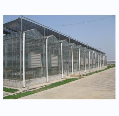 China Gran invernadero agrícola con marco de acero galvanizado y sistema de refrigeración opcional en venta