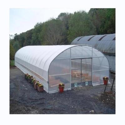 China Tomato Hydroponic Agricultural Greenhouse For Enhanced Yield In Single Span Design for sale