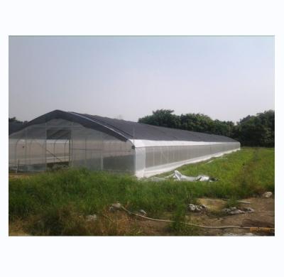 China 150/200micro Film High Tunnel Landbouwgreenhouse voor de hydroponische teelt van tomaten Te koop