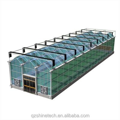 China Invernadero de acero galvanizado cubierto de vidrio para la agricultura con dibujo de instalación en venta