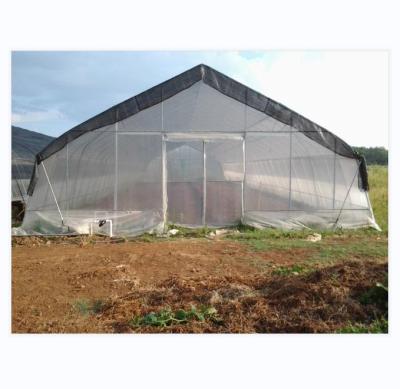 China 150/200micro Film Covered Tunnel Greenhouse For Hydroponic Tomato Growing for sale