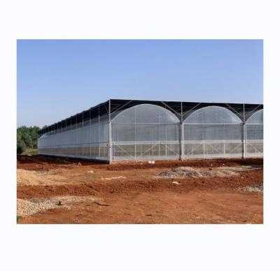 China Intelligent Greenhouse For Tomato Cultivation Multi Span Film Green House By Shine Tech for sale