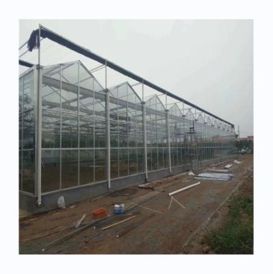 China Equipo agrícola de invernaderos de vidrio de múltiples tramos para frutas, verduras y flores en venta